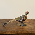Cold painted bronze