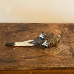 Cold painted bronze